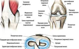 Латеральная связка