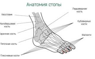 Артроз стопы симптомы и лечение